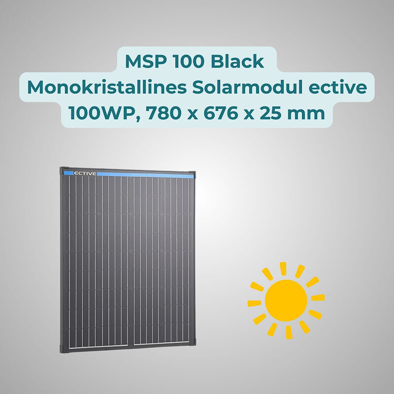 MSP 100 Black monokristallines Solarmodul von ective