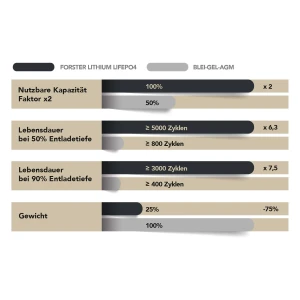 100 Ah LiFePO4 mit Heizung von FORSTER Individual Batteries| 100A-BMS | Smart Bluetooth | Ducato Ford PSA TGE