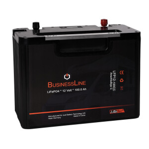 100 AH RV LiFePO4 Batterie JuBaTec, mit BMS (ohne Bluetooth) f&uuml;r Wechselrichter bis 2500 Watt!