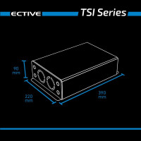 Sinus Wechselrichter TSI15 / 12V  mit NVS ECTIVE