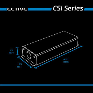 CSI 10 ECTIVE - 12V Sinus-Wechselrichter mit Ladegerät und NVS -  1000W